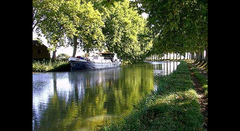 Ballade en barque sur le canal du midi  