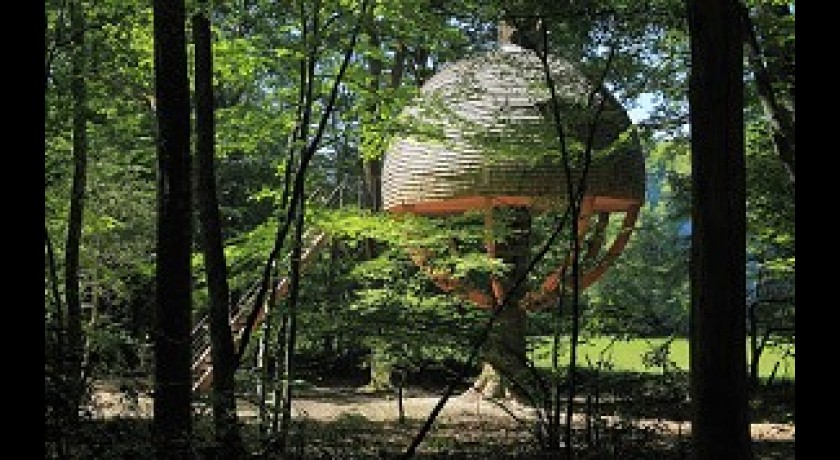 Cabanes dans les arbres en Bourgogne