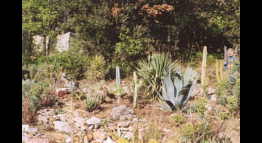 Cactuseraie d'Escaïre-Figue