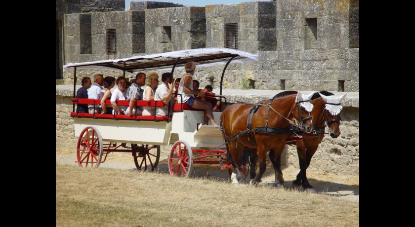 Calèches de la cité de Carcassonne