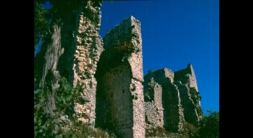 Chateau d'Allègre 