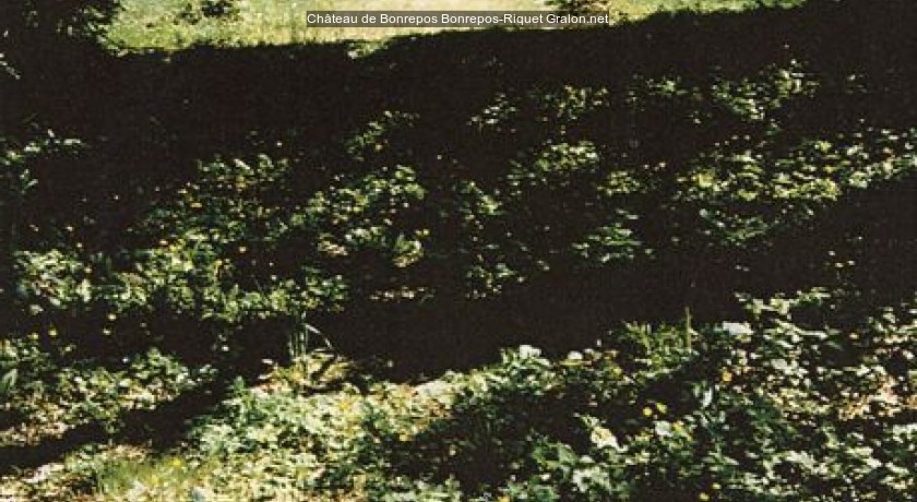 Château de bonrepos Bonreposriquet tourisme