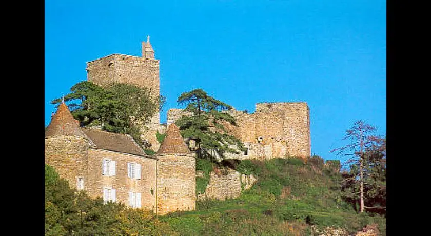Chateau de Brancion