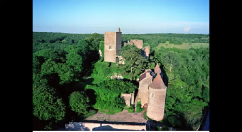 Château de Brancion