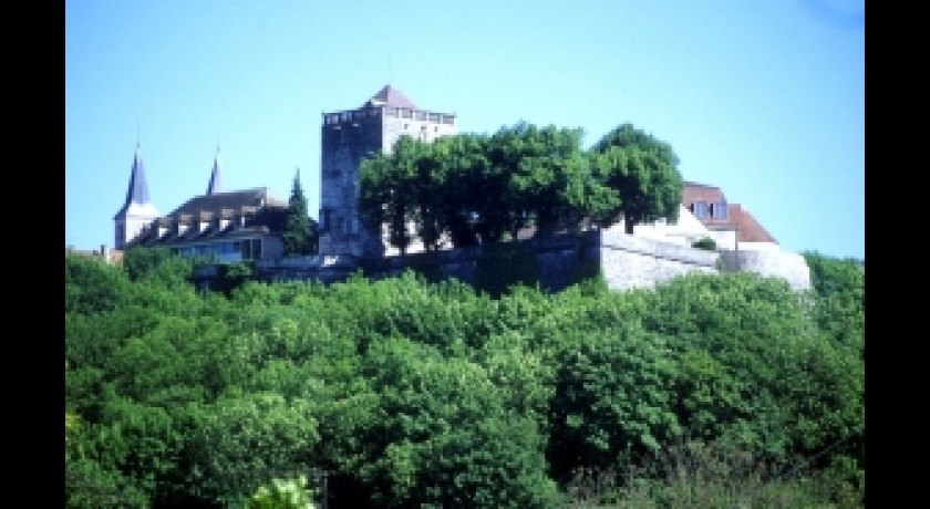 Chateau de Chaumont
