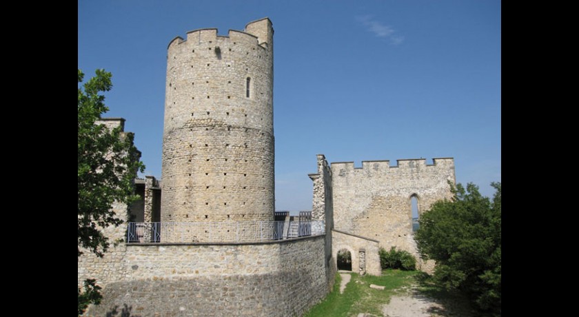 Château de Fallavier