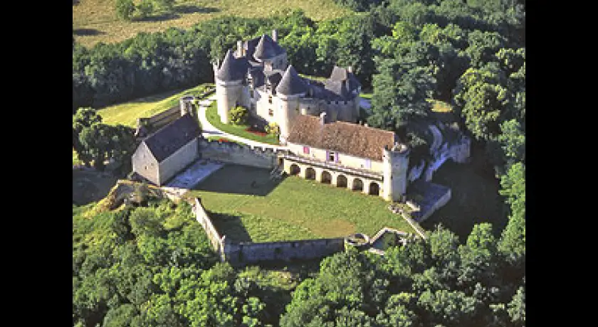 Château de Fenelon
