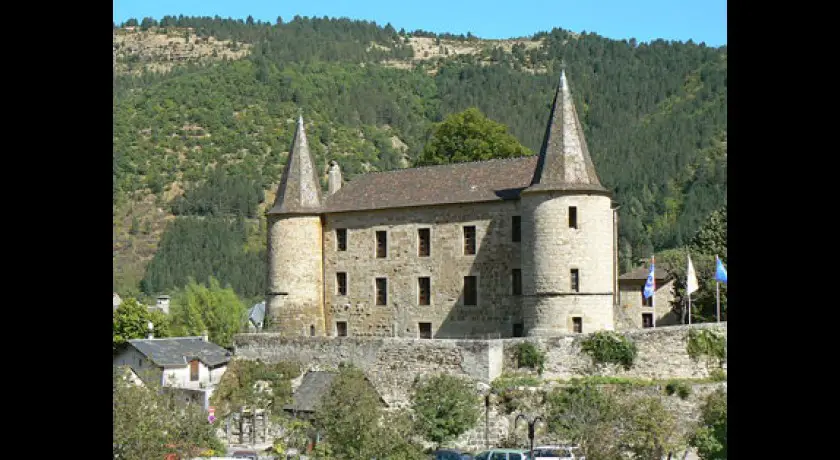 Chateau de Florac 