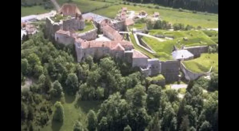 Chateau de Joux