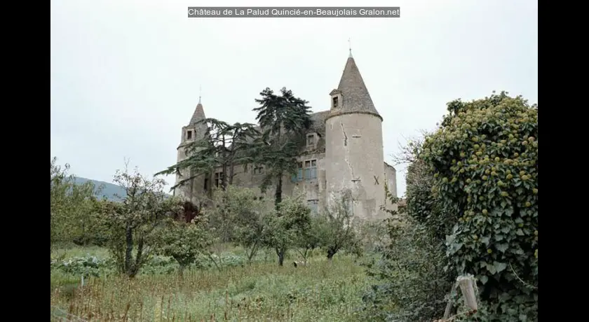 Château de La Palud