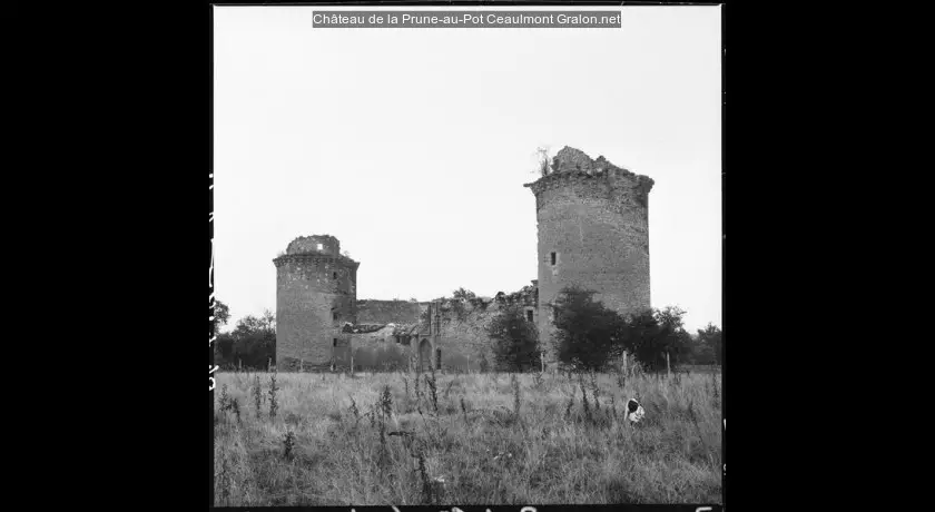 Château de la Prune-au-Pot