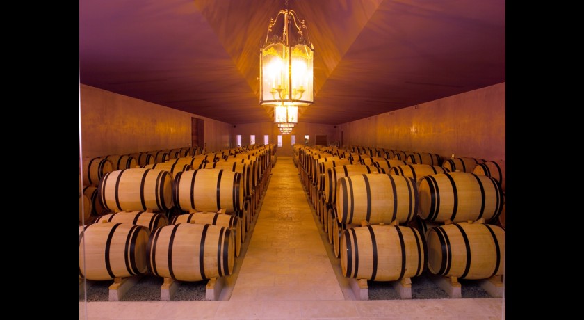 Château de lussac Lussac tourisme Visite, Dégustation et Vente de vins