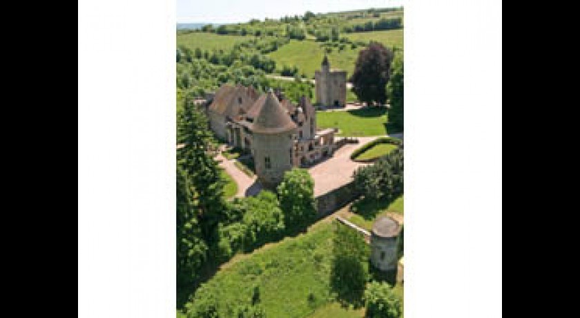 Château de Marguerite de Bourgogne