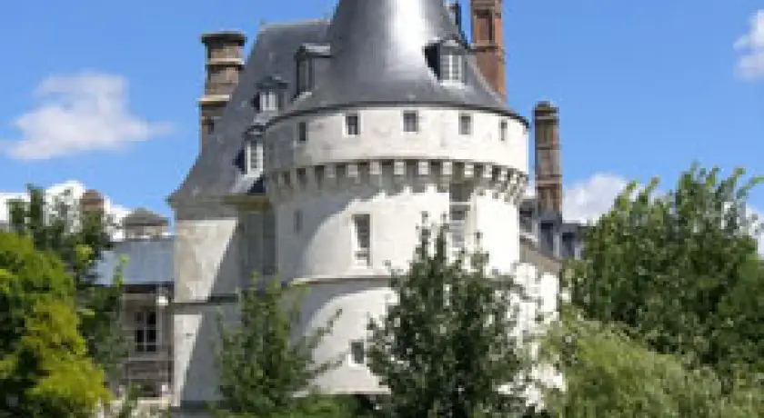 Chateau de Mesnières