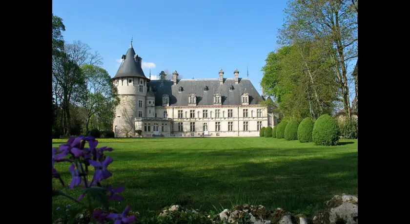 Chateau de Montgny sur Aube