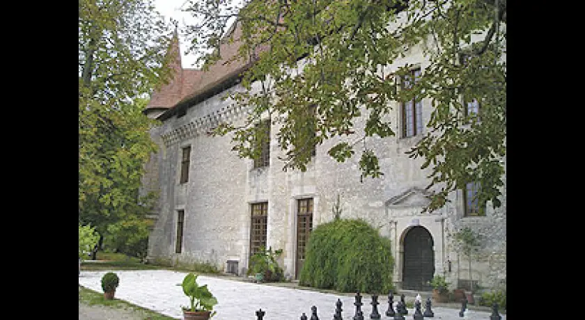 Château de Puyferrat