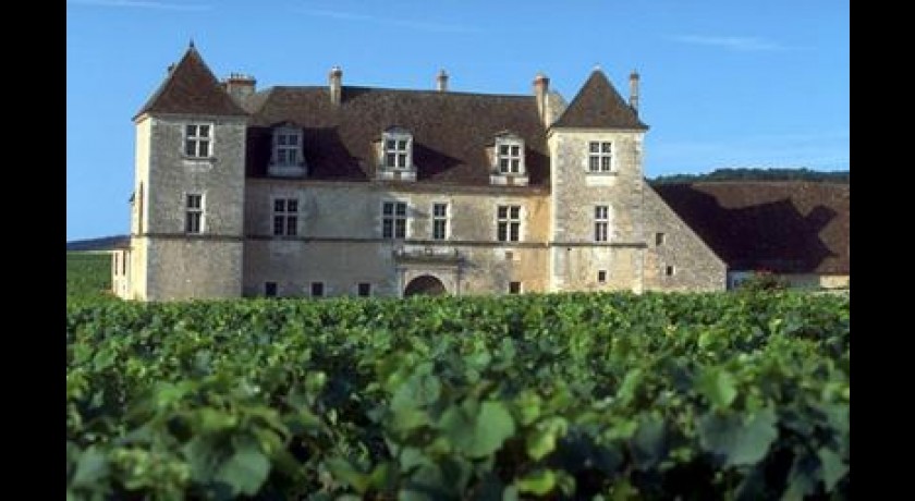 Chateau du Clos Vougeot