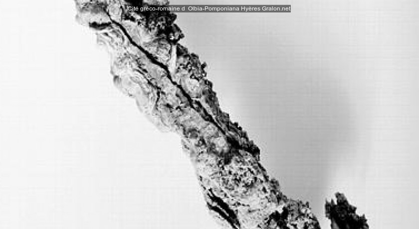 Cité gréco-romaine d' Olbia-Pomponiana
