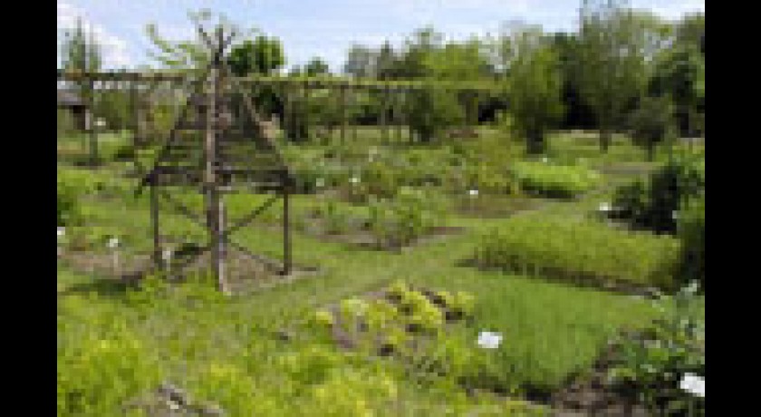 Conservatoire National des Plantes à Parfum, Médicinales, Aromatiques