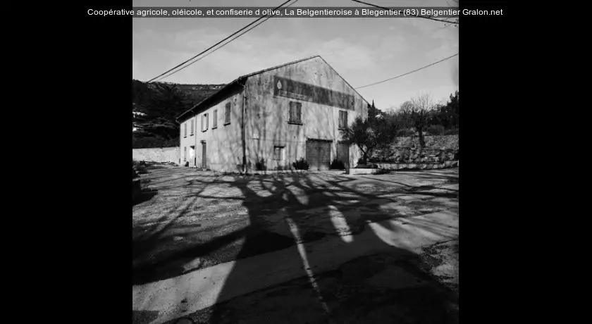Coopérative agricole, oléicole, et confiserie d'olive, La Belgentieroise à Blegentier (83)