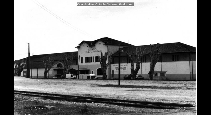 Coopérative Vinicole