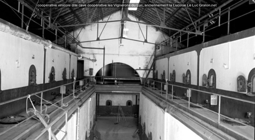 coopérative vinicole dite cave coopérative les Vignerons du Luc, anciennement la Lucoise