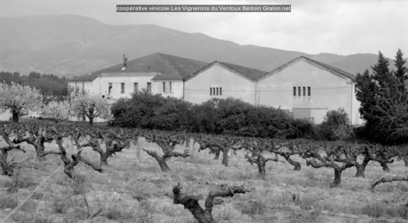 coopérative vinicole Les Vignerons du Ventoux