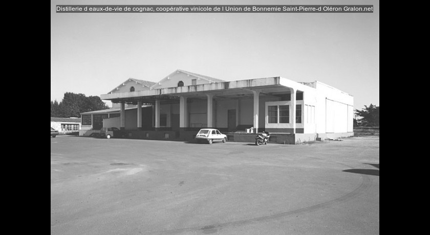 Distillerie d'eaux-de-vie de cognac, coopérative vinicole de l'Union de Bonnemie