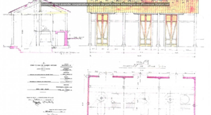 Distillerie de Lavande, coopérative agricole de parfumerie