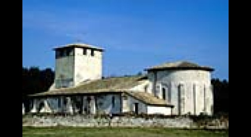 Eglise saintpierre de mons Belinbeliet tourisme Site / monument