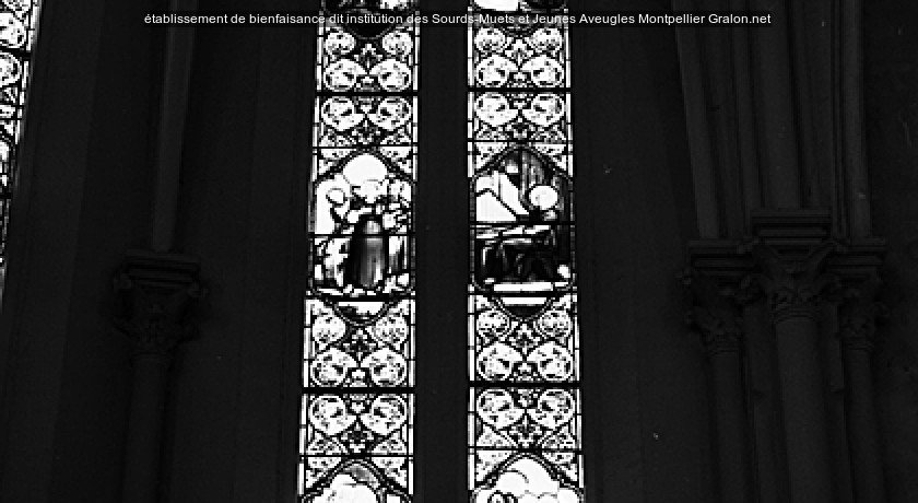 établissement de bienfaisance dit institution des Sourds-Muets et Jeunes Aveugles