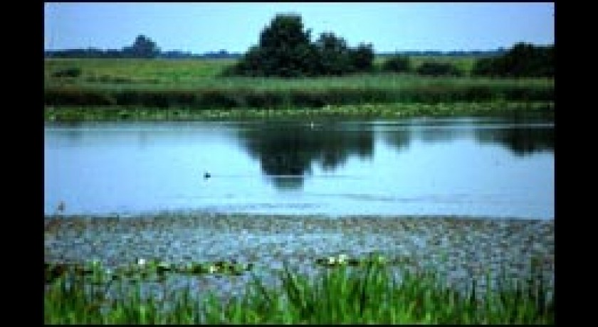 Etangs et Prairies à Boucq