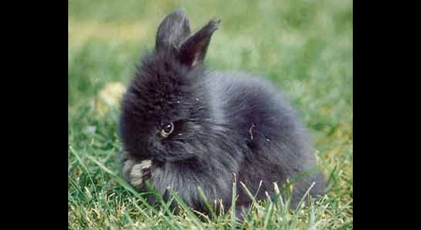 Ferme du Chaud Lapin