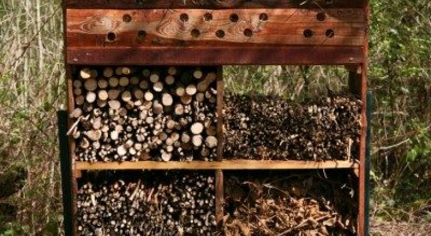 Ferme Forestière de la Forêt de Haye