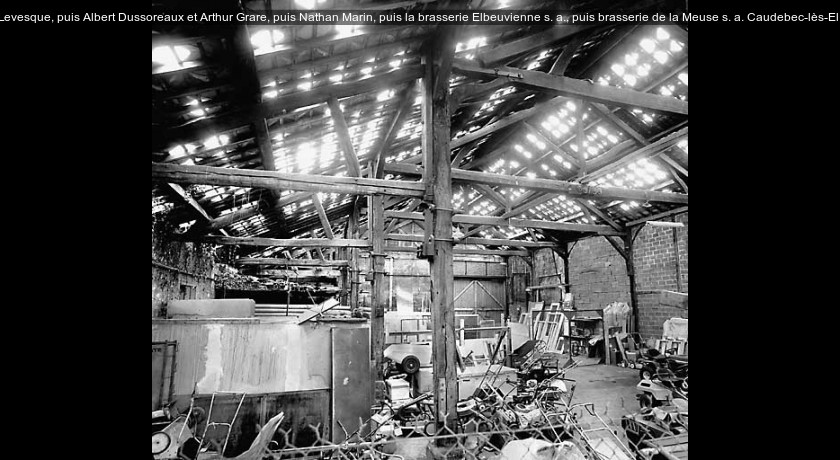 fonderie de fer Levesque, puis Albert Dussoreaux et Arthur Grare, puis Nathan Marin, puis la brasserie Elbeuvienne s. a., puis brasserie de la Meuse s. a.