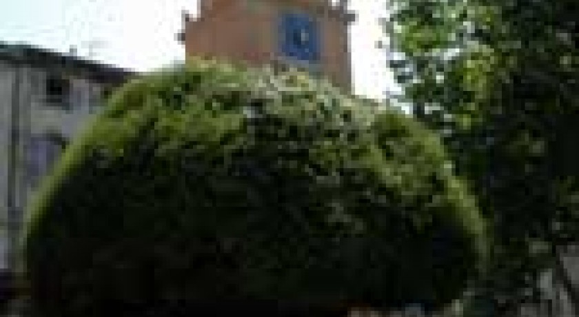 Fontaine moussue Salon de provence tourisme Fontaine