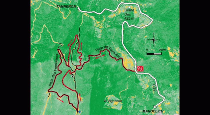 Fôret de mimosas circuit du grand Duc