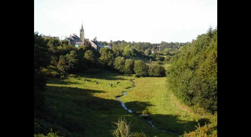 Forêt Domaniale de Cerisy / Balleroy