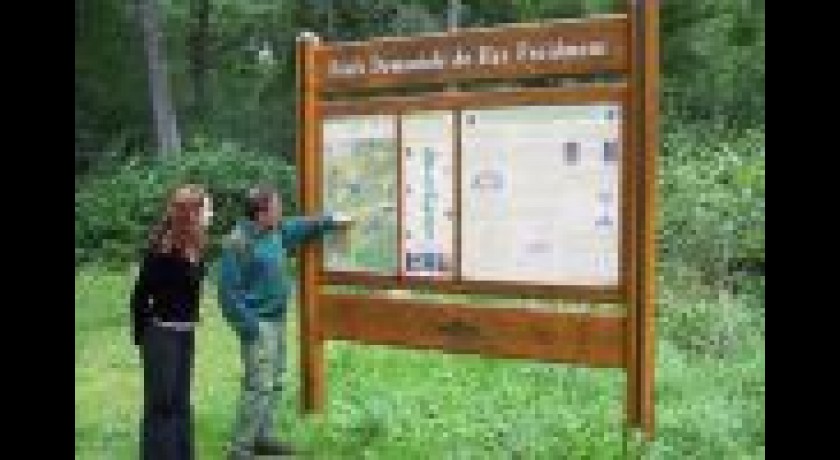 FORETS DOMANIALES D'HEZ-FROIDMONT, CAUMONT, MALMIFAIT, SAINT-QUENTIN, THELLE