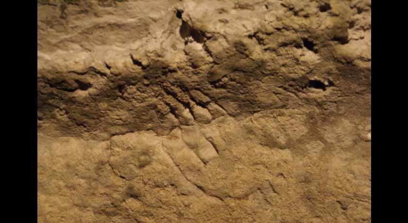 Grotte de Bara-Bahau