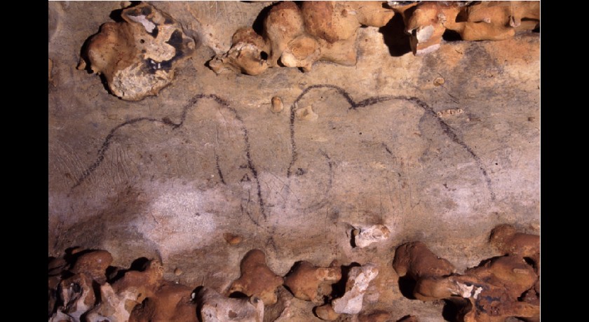 Grotte de Rouffignac