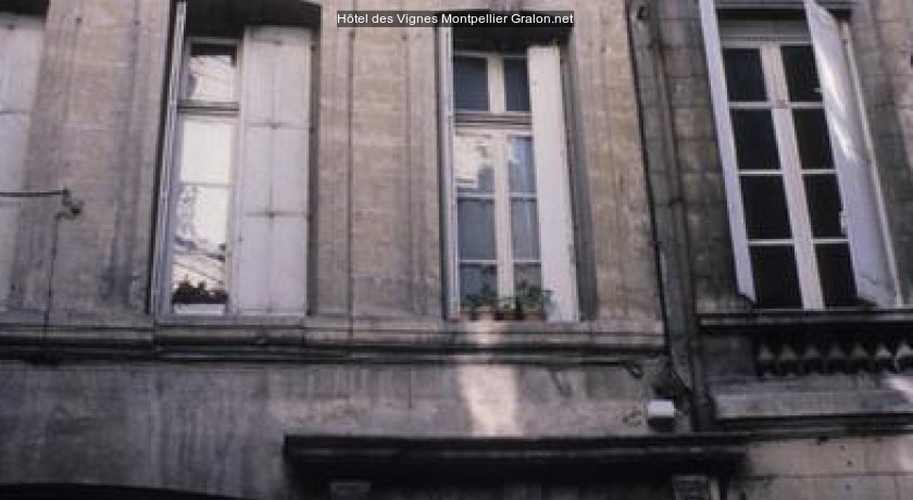 Hôtel des Vignes