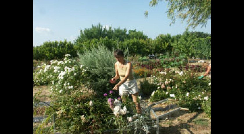 Jardin aux Plantes La bouichère