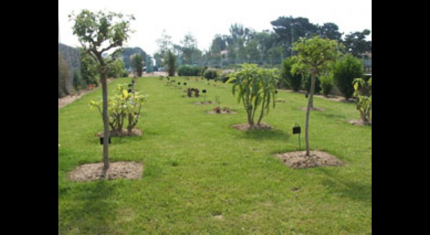 JARDIN BOTANIQUE