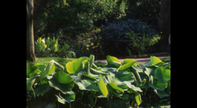 JARDIN BOTANIQUE DU VAL RAHMEH