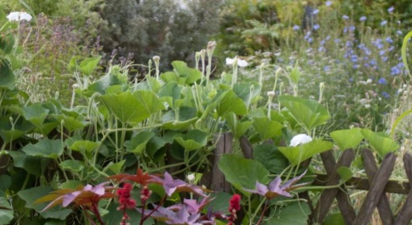 Jardin Botanique Yves Rocher
