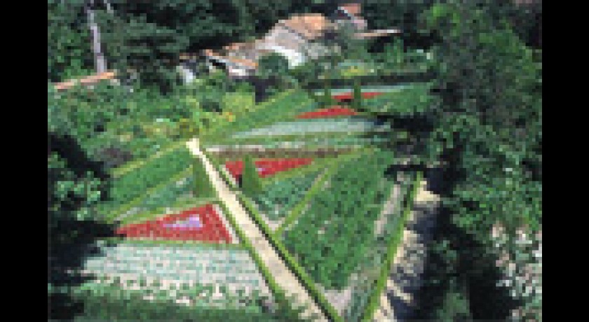 JARDIN FLORAL DU CHATEAU DE DIGEON