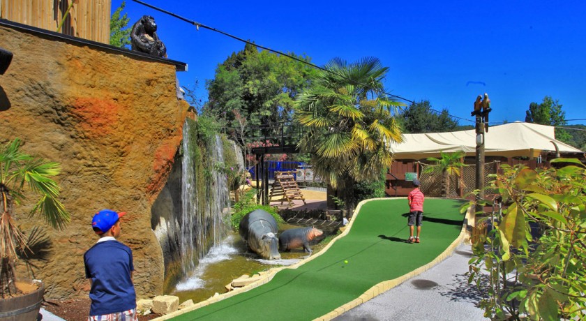 Jungle Golf