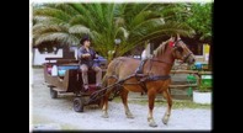 Kentuky ranch, randonnée à cheval