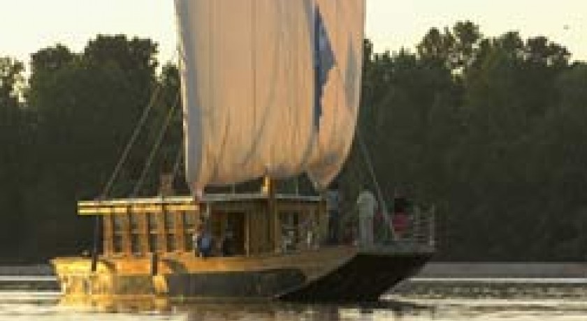 L'AMARANTE : BALADES EN BATEAU SUR LA LOIRE